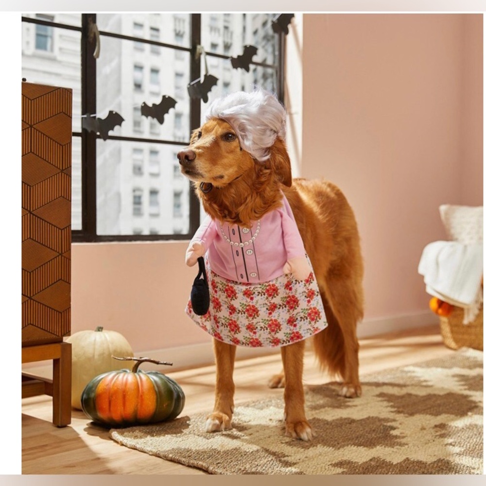 NWT! Frisco Dog or Cat Granny Costume